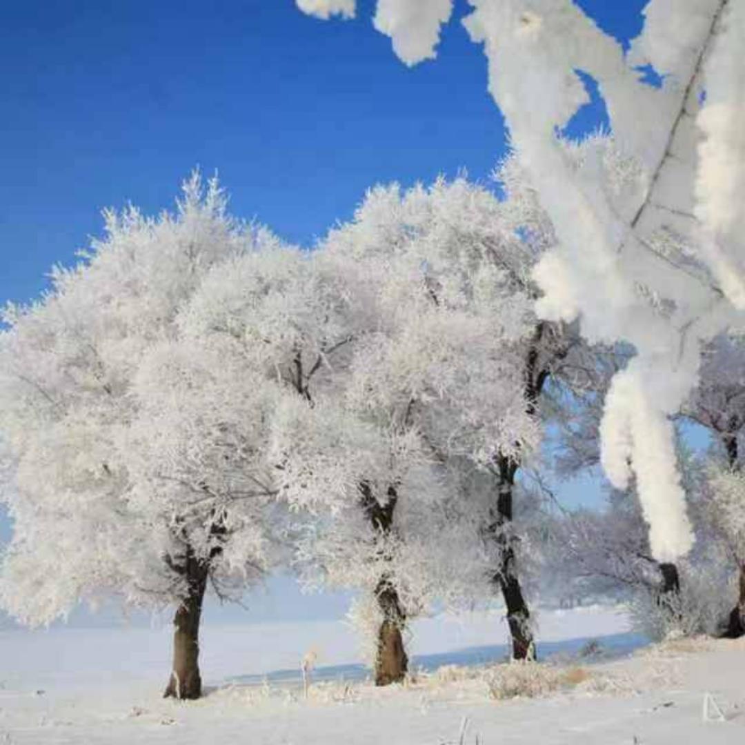 永不消失的电波