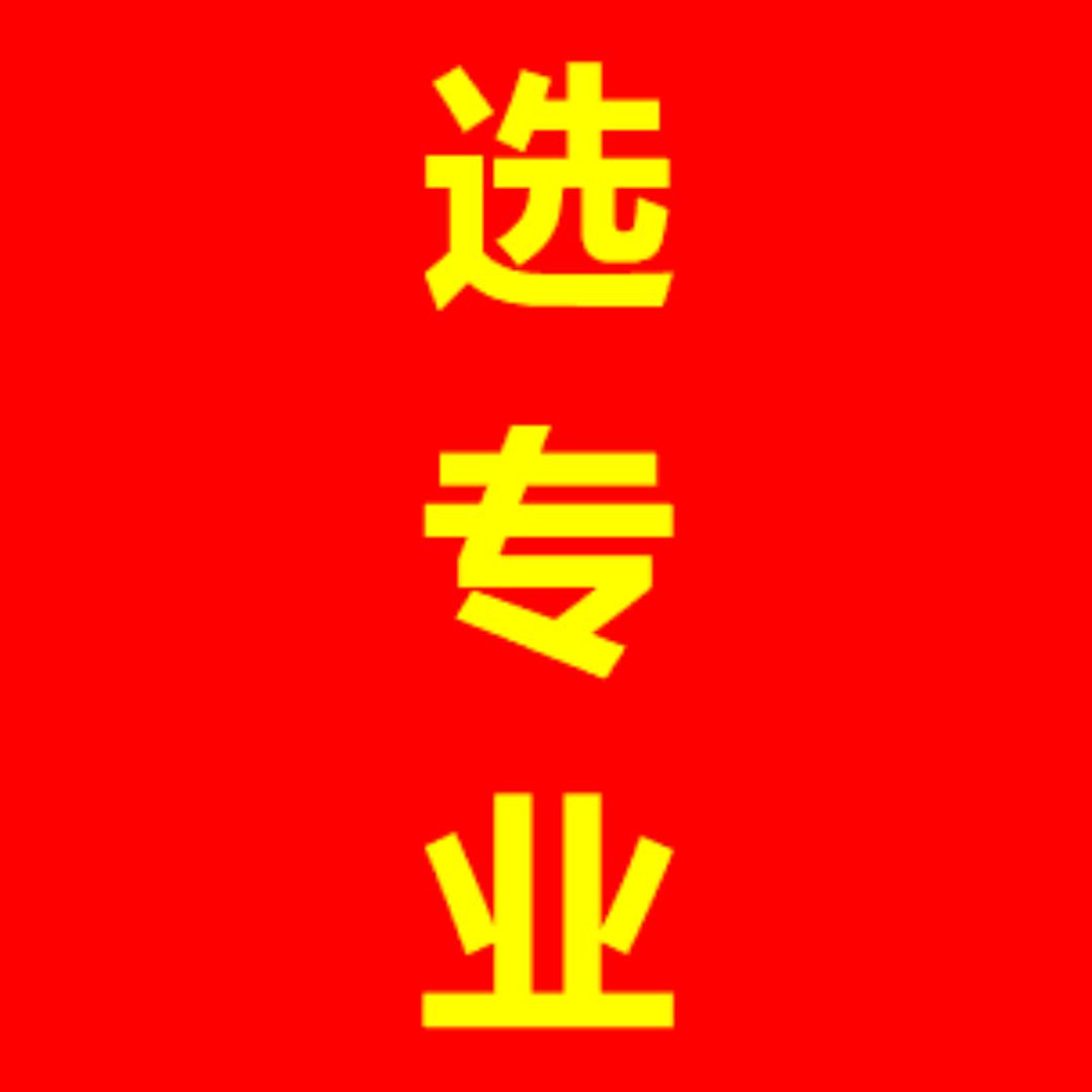 丁老师选专业