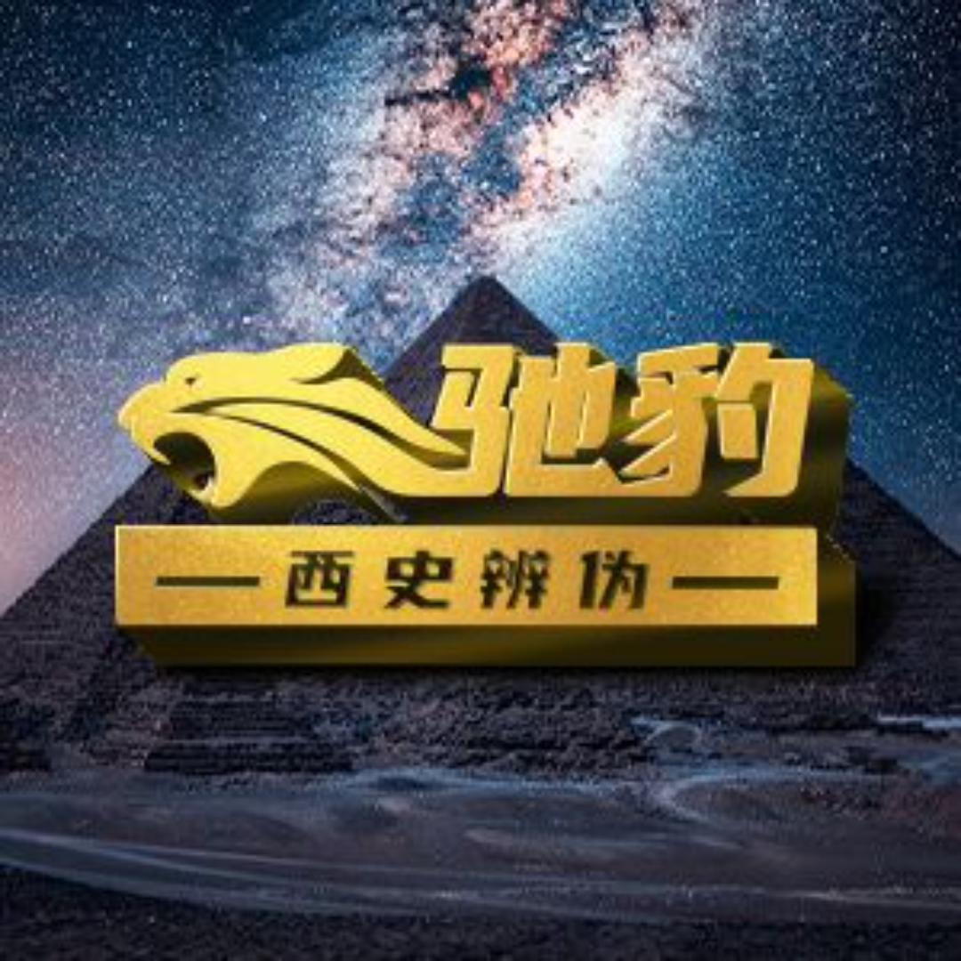驰豹