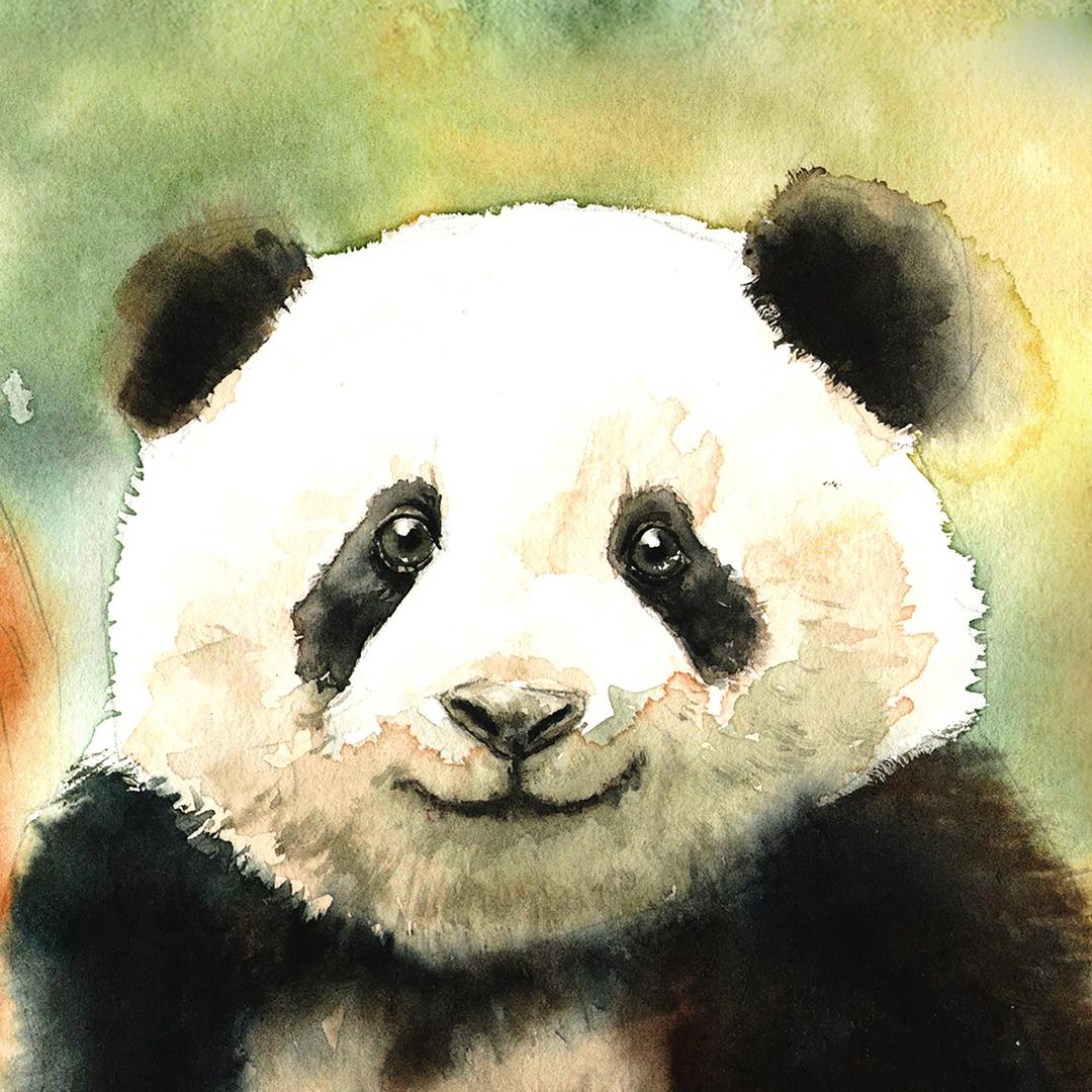 panda浩俊
