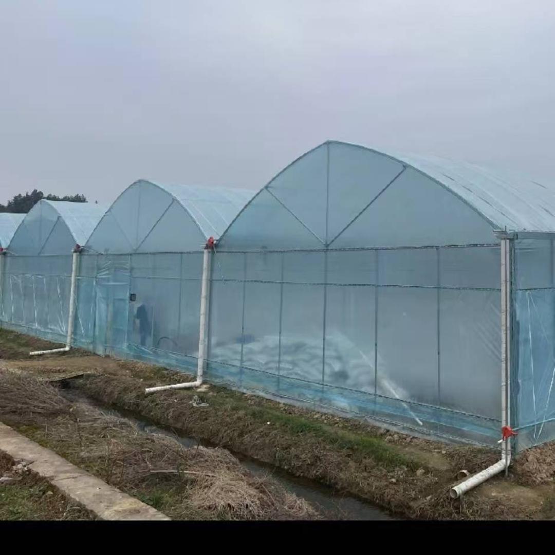 薡之胜温室大棚