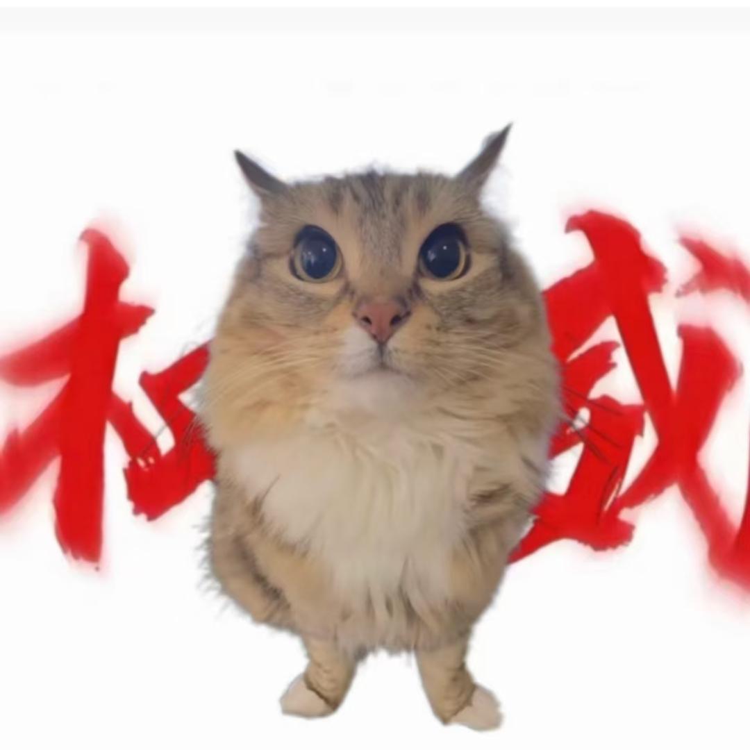 电子榨菜me