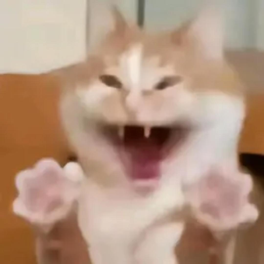 卷卷～