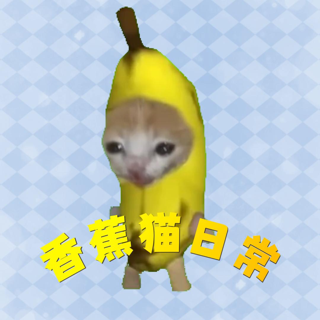 香蕉猫日常