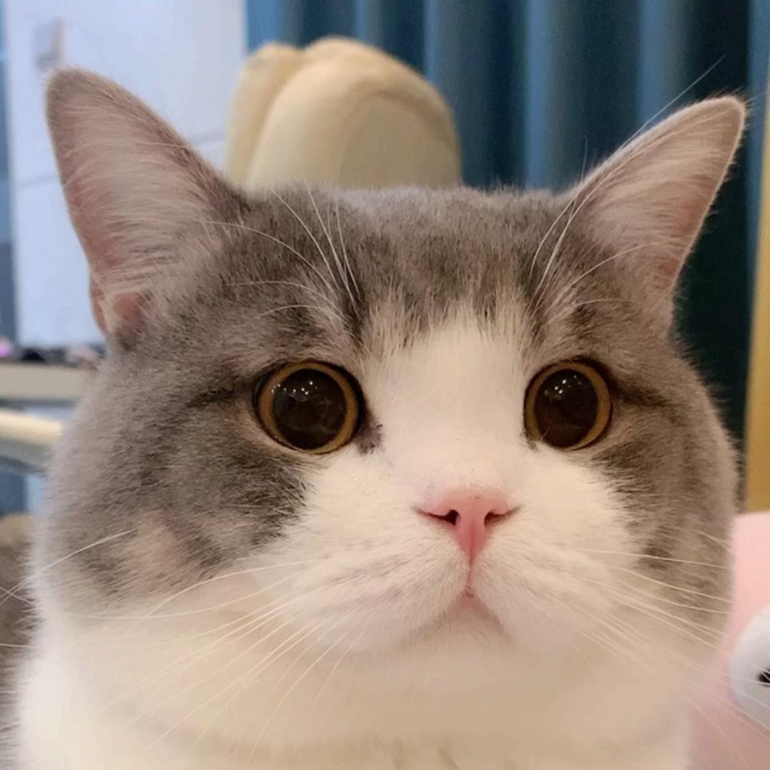 莉莉粒粒