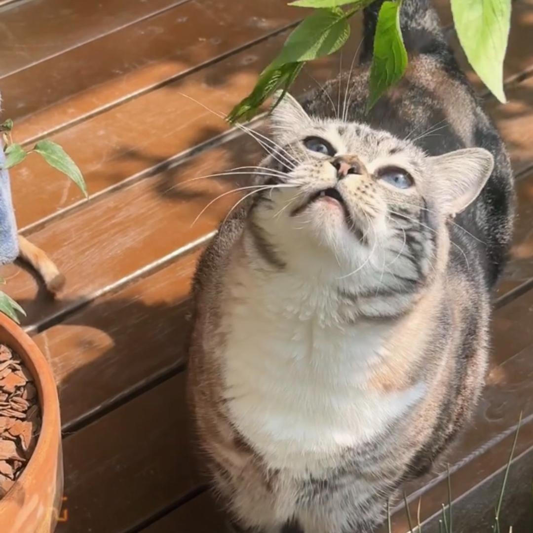 潍坊一胜食品优品店