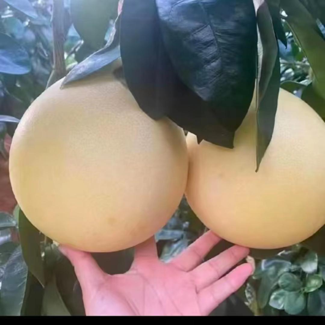 热心好邻居老王