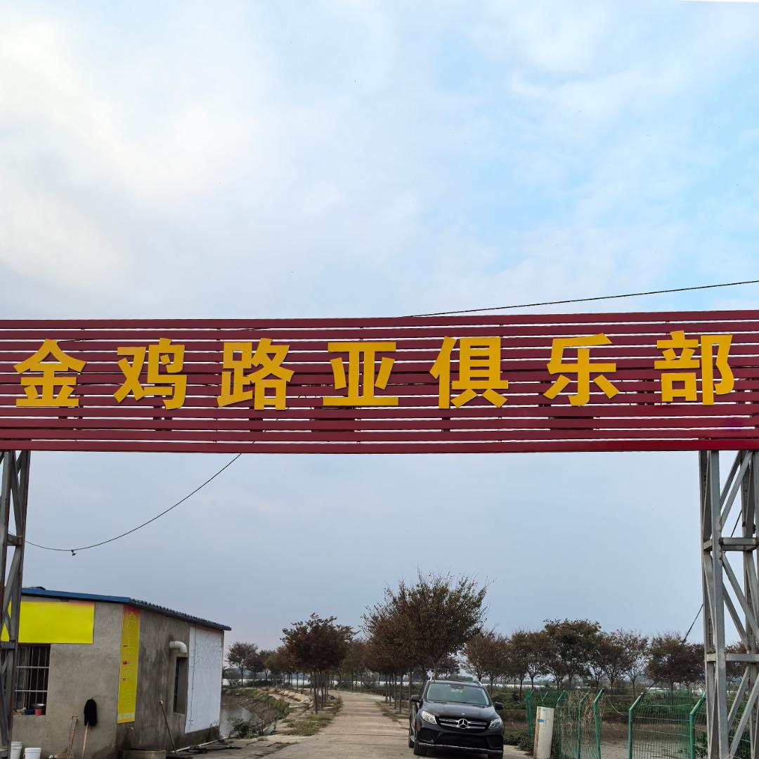 金鸡路亚俱乐部