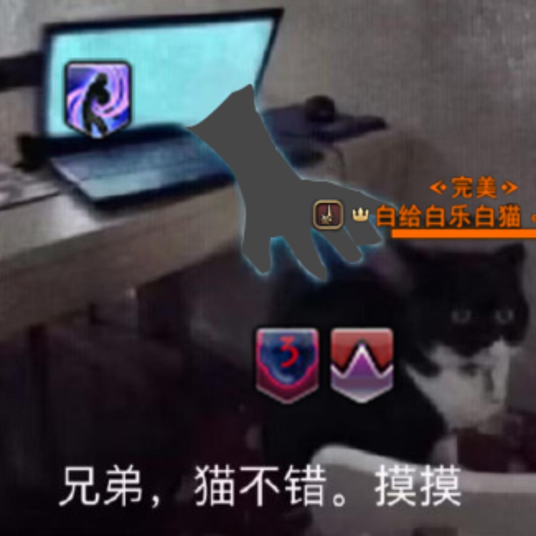 是黑豆不是土豆