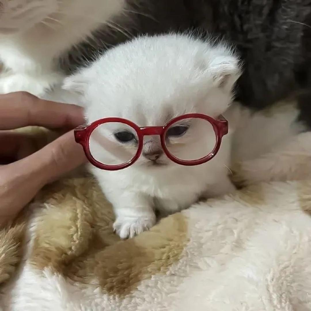 十加仑水头