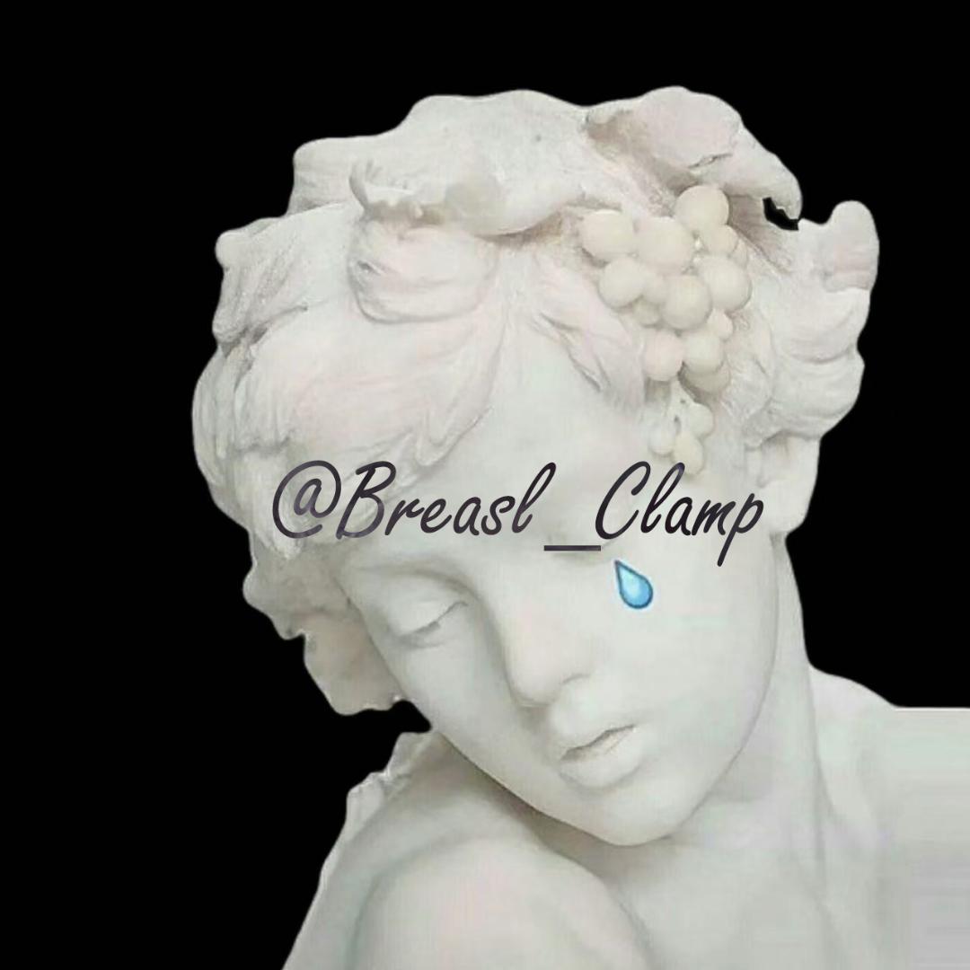 Breast_Clamp代✂️