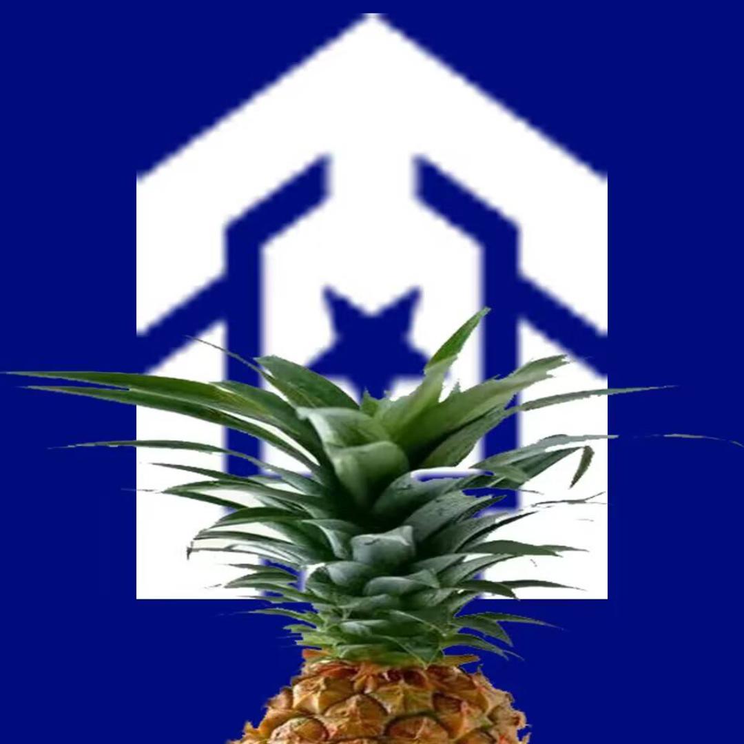 浩澜（沉浸版）