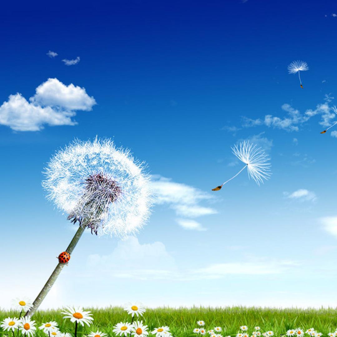 我不爱说话勿扰