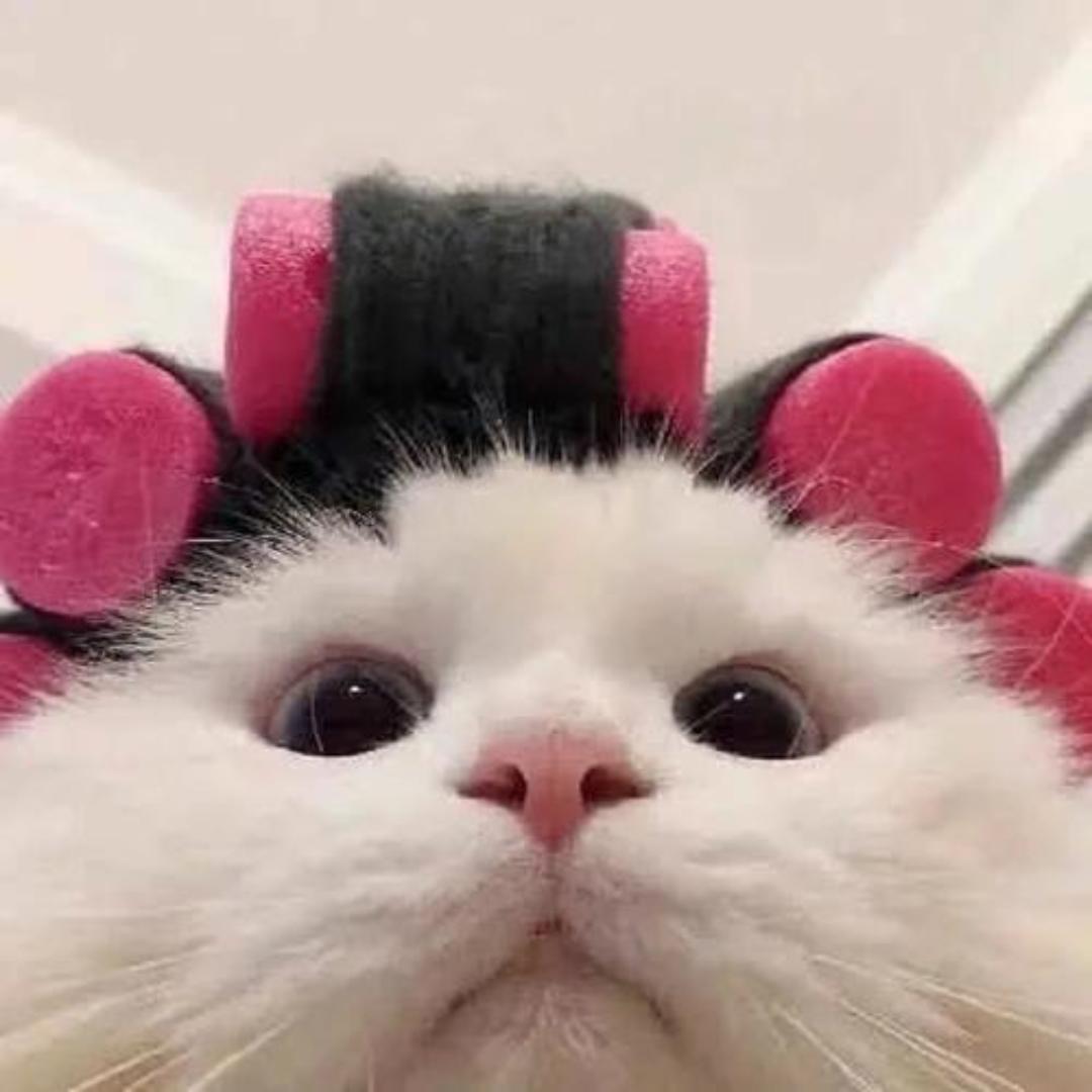 研听必从