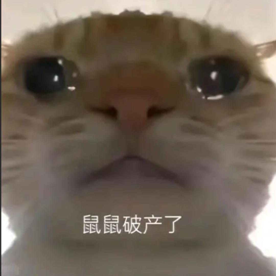 迅鼠跑刀（三角洲行动）