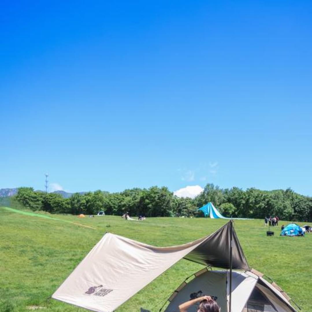 琪琪🌸行记🚴