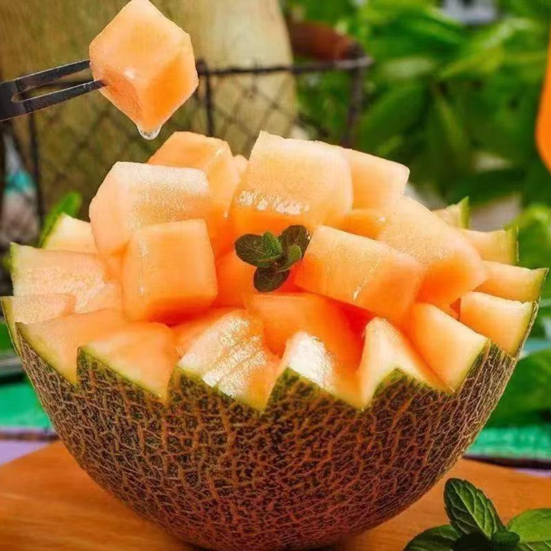 海南哈密瓜  现摘现发