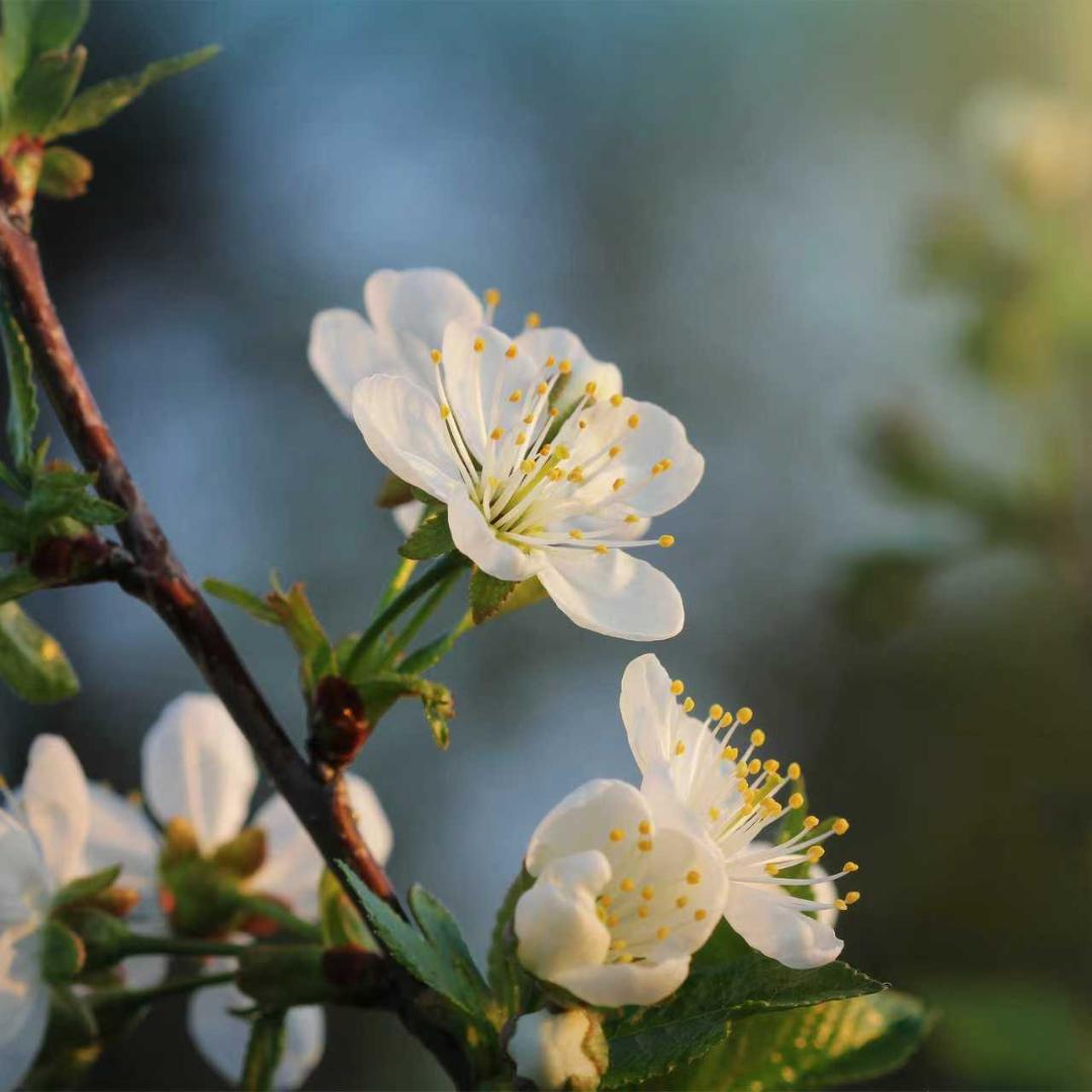 宏晟零碳鲜农铺