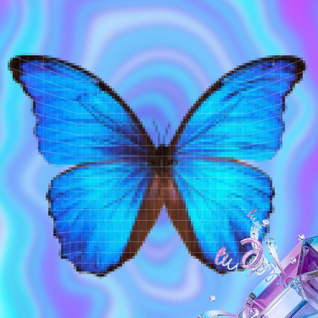 霓赏蝶语潮玩工作室