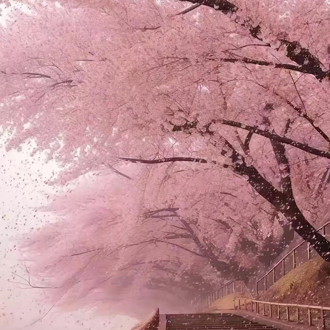 山青花欲燃