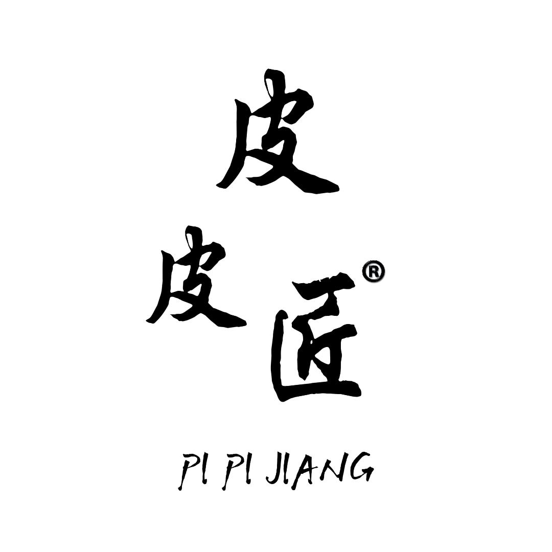XPEL皮皮匠汽车贴膜