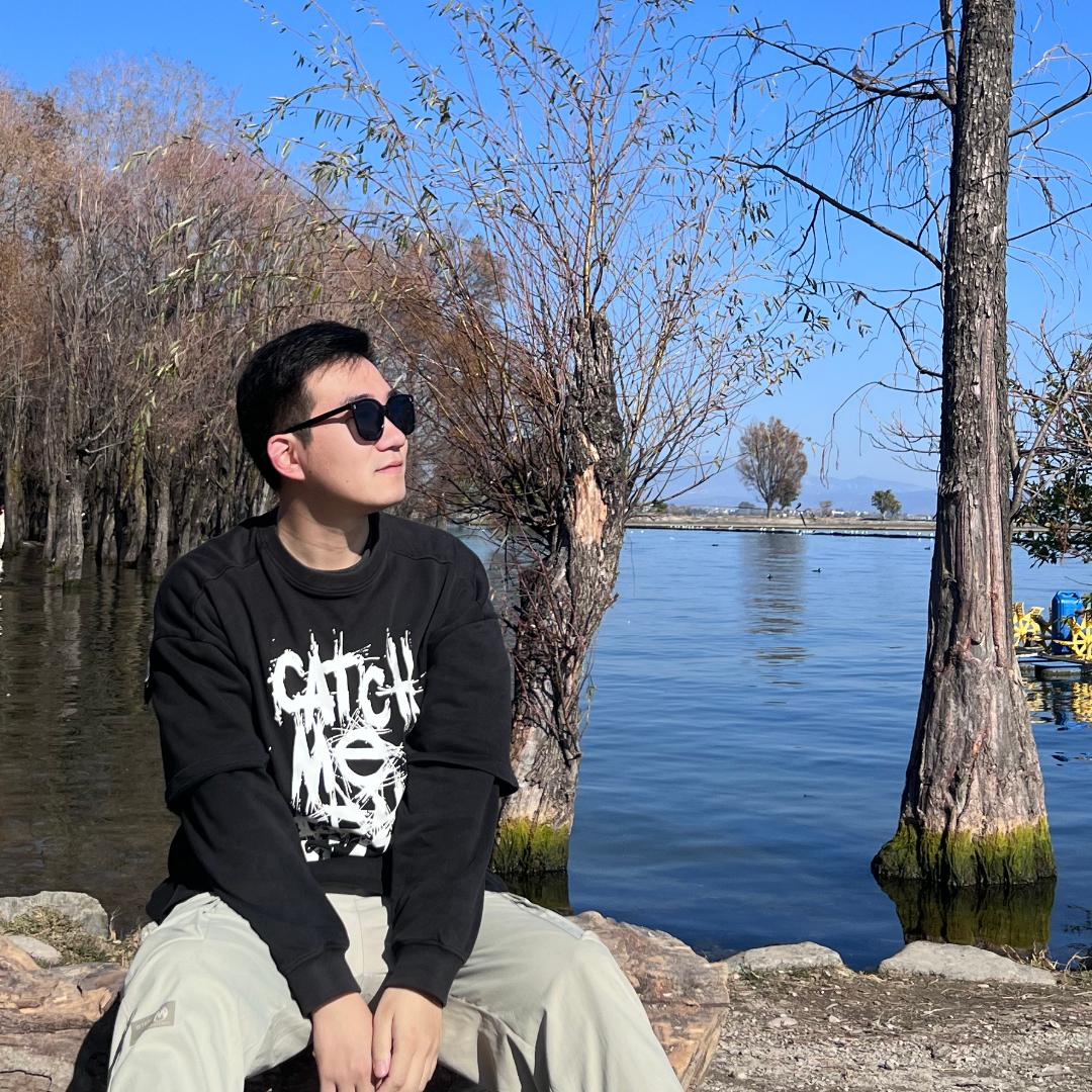 重庆新元素奥迪二手车-包子