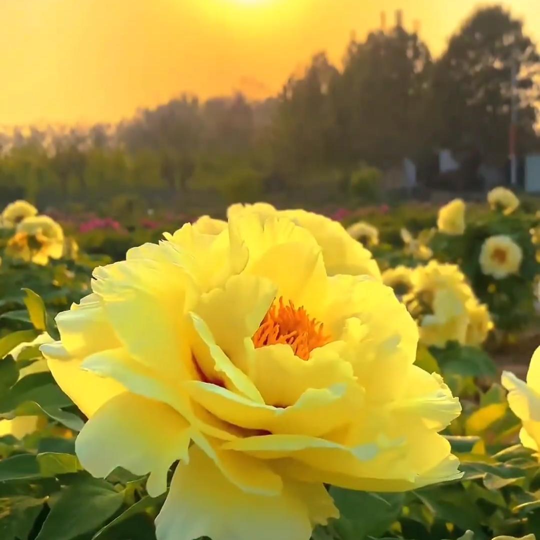 绿春葛涉商贸百货号