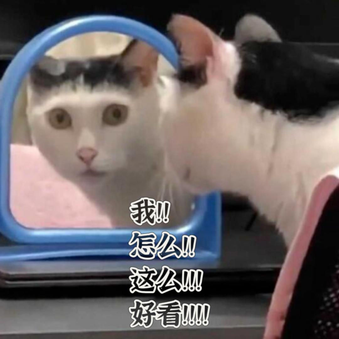 晨冬思雨