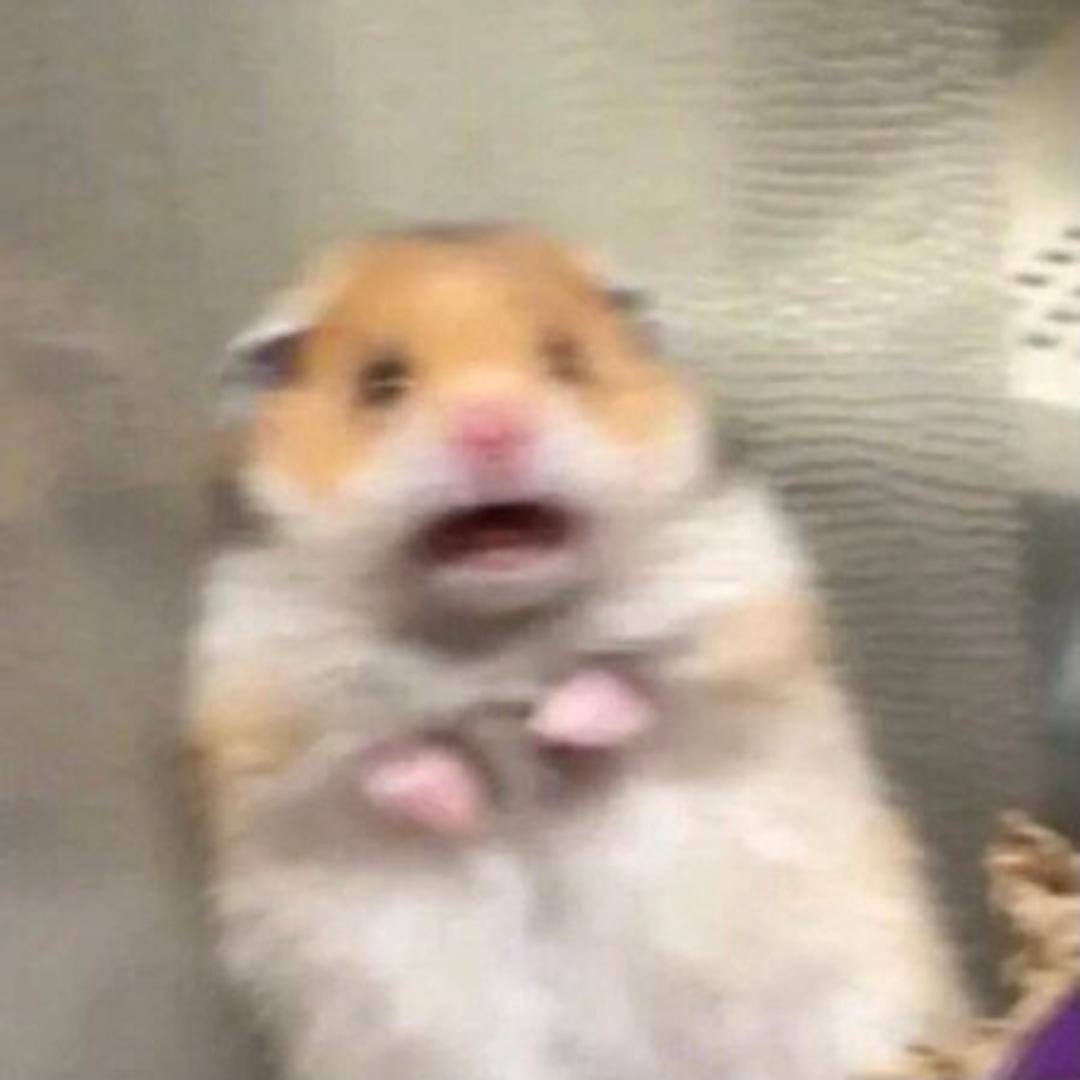 鼠道难（三角洲行动）