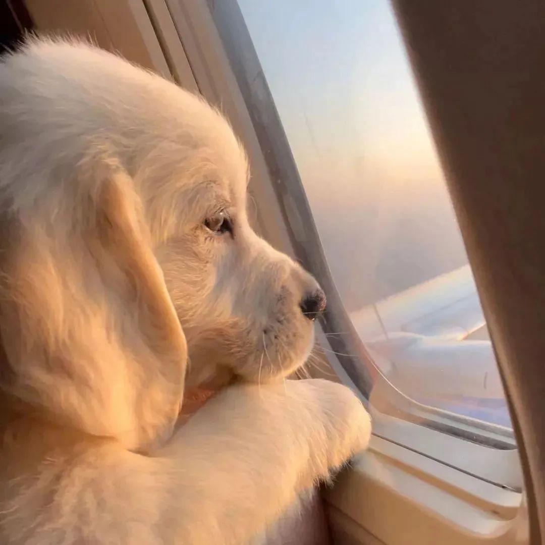 白云爱蓝天
