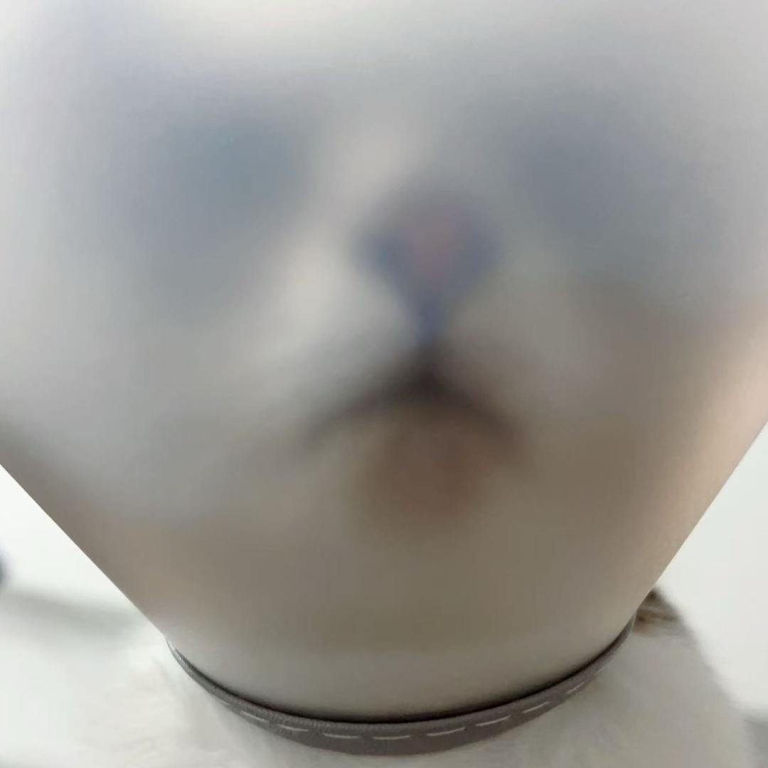 🌈呵呵