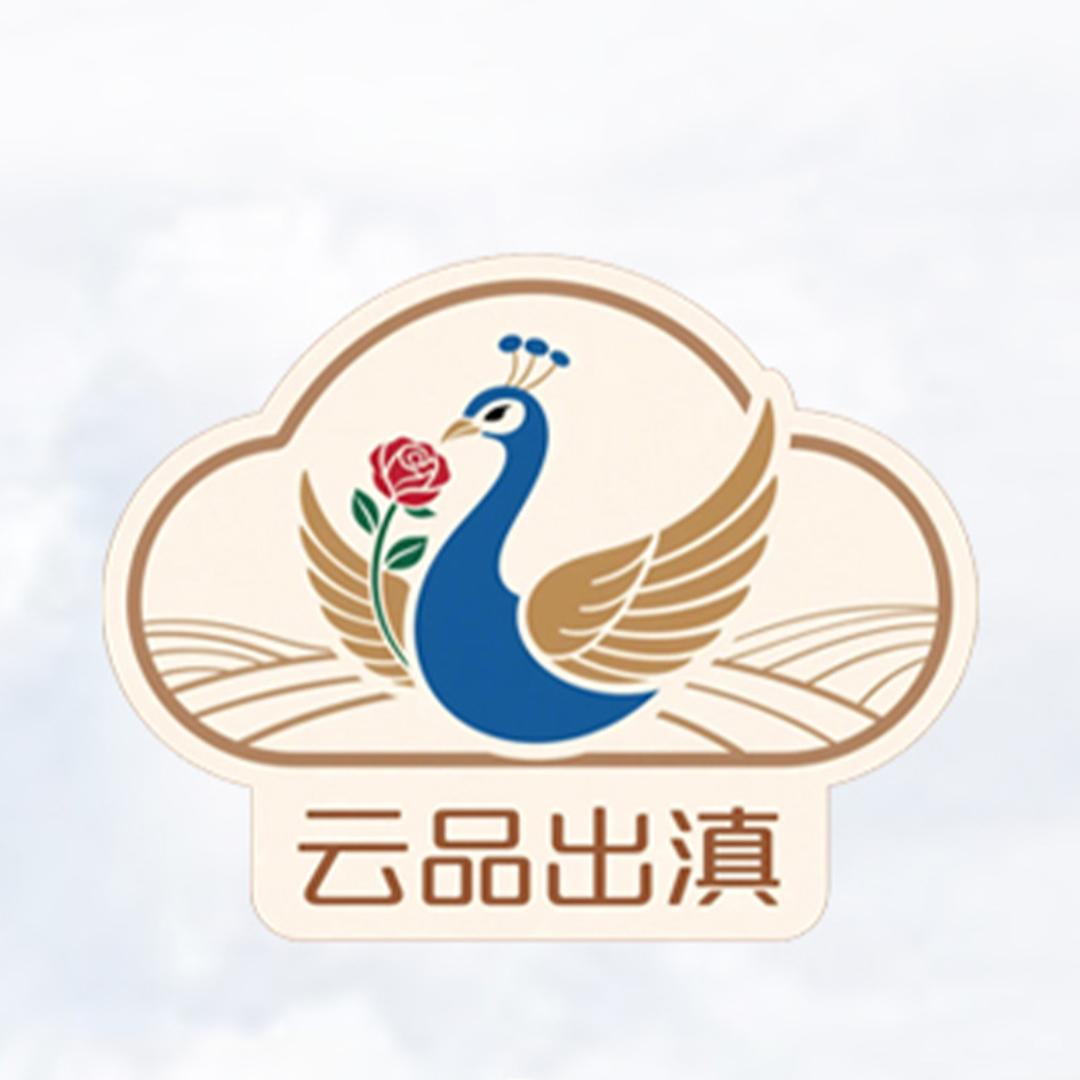 云品情报局