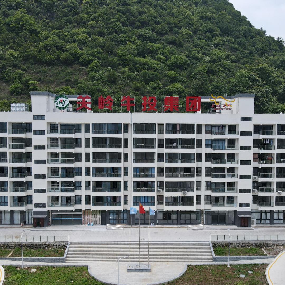 关岭牛投集团