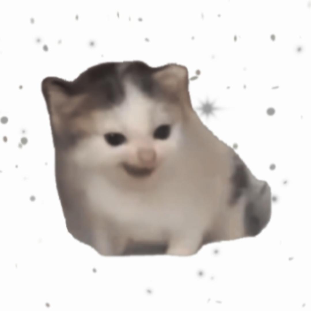 猫meme秀