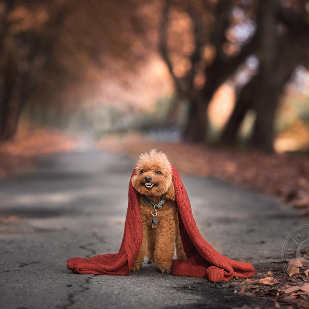 硬凑八个字的名字