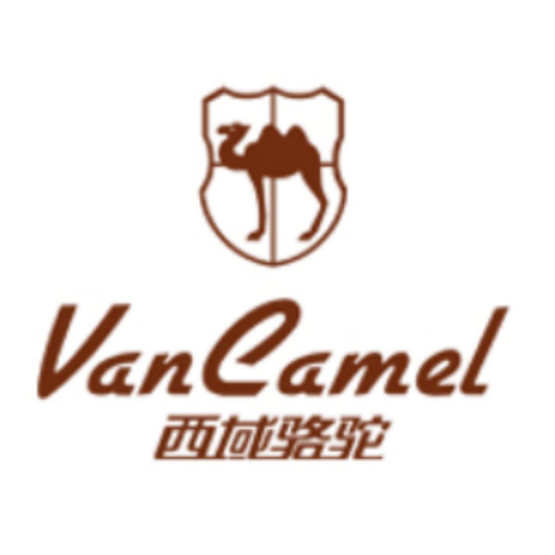 西域骆驼瑞足鞋类专卖店
