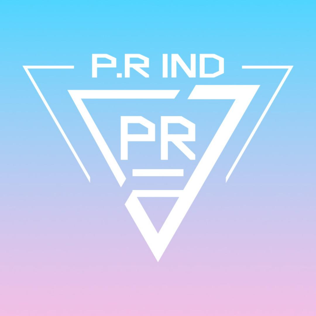 P.RIND羽毛球旗舰店