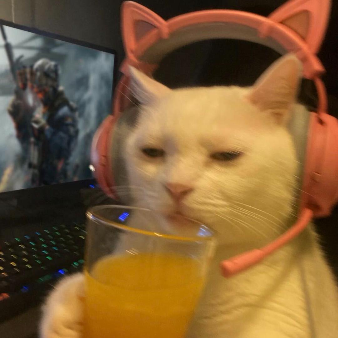 鱼