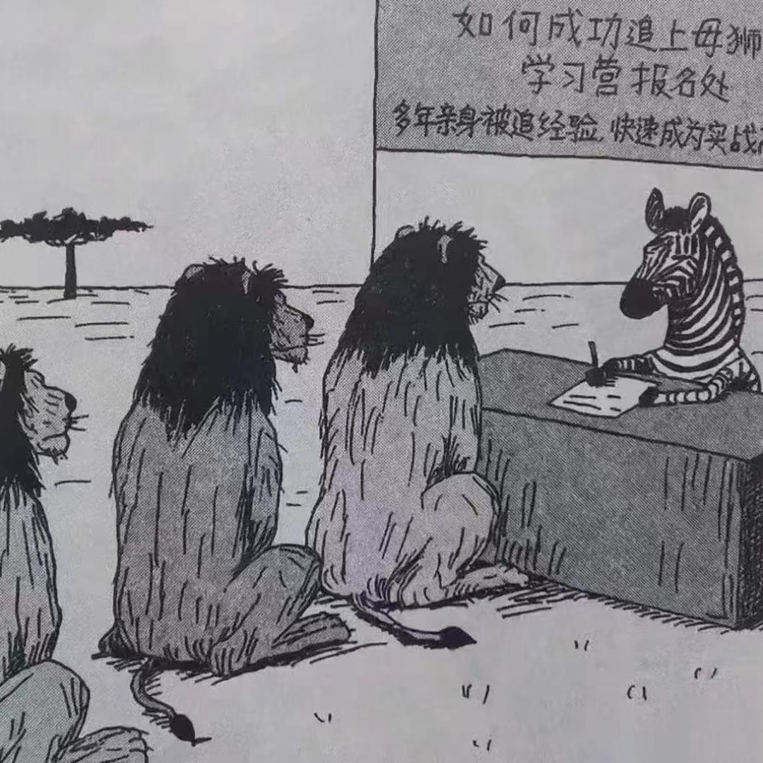 萌宠与呆萌事儿