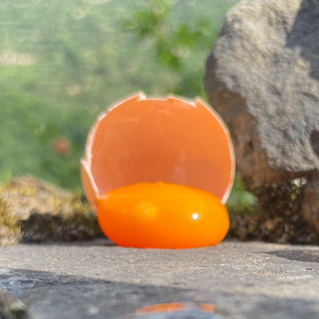 羌村鸡蛋-净土阿坝