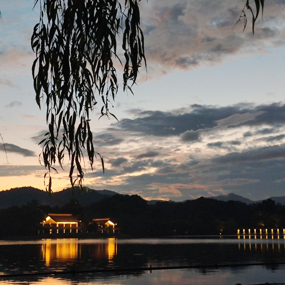 心之所向皆如愿