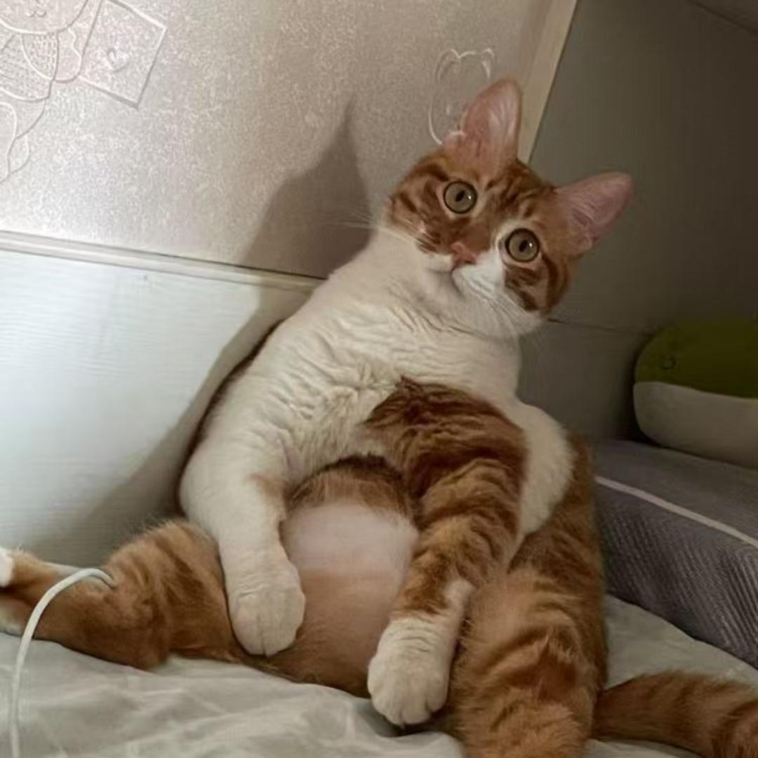 暗暗中观察