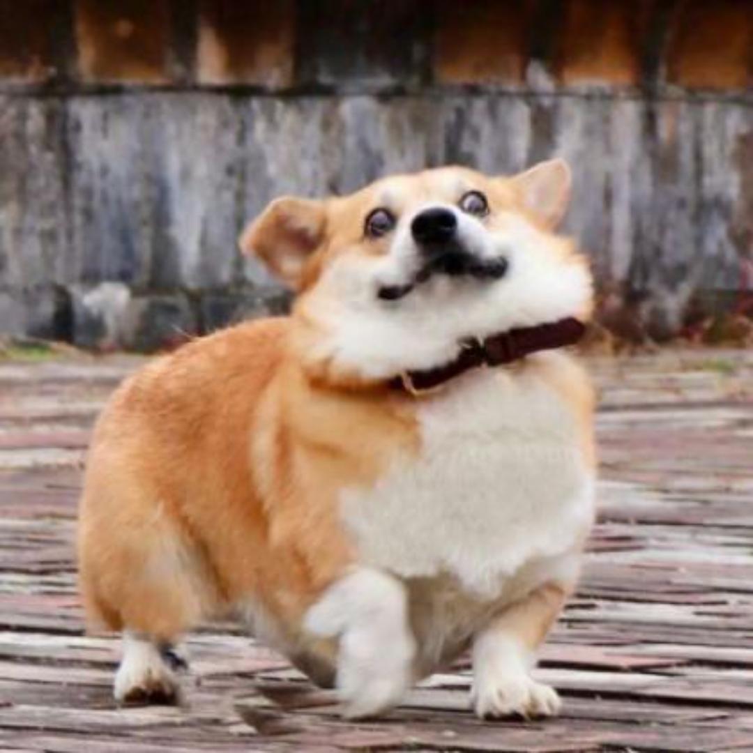 阿泉