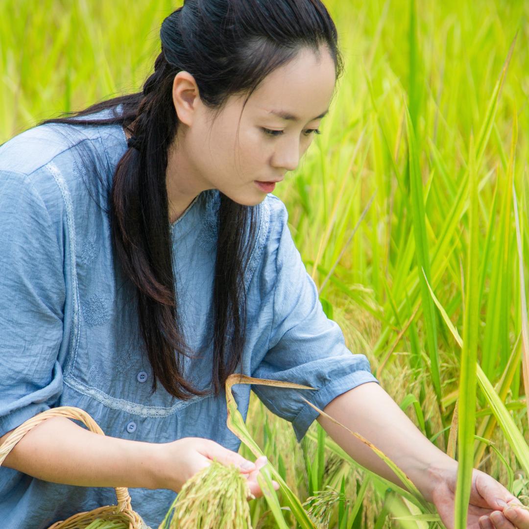 稻乡记🌾（维维姐）