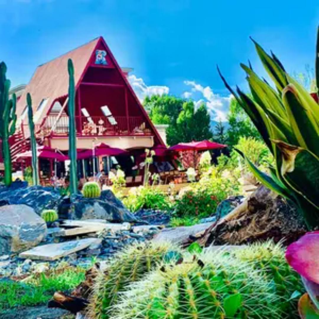 红房子城市花园餐厅