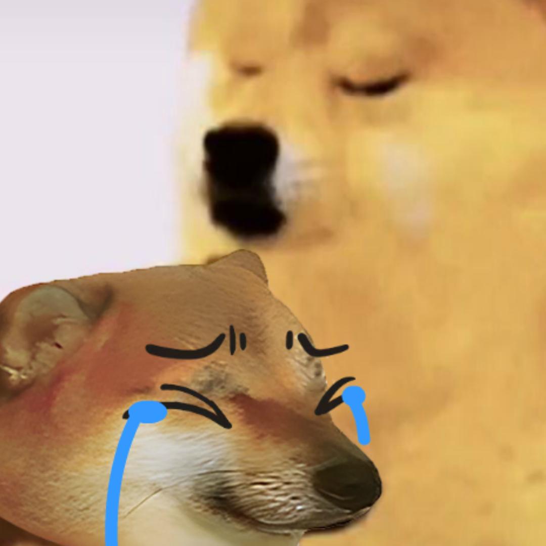 「流泪汪的急救室」