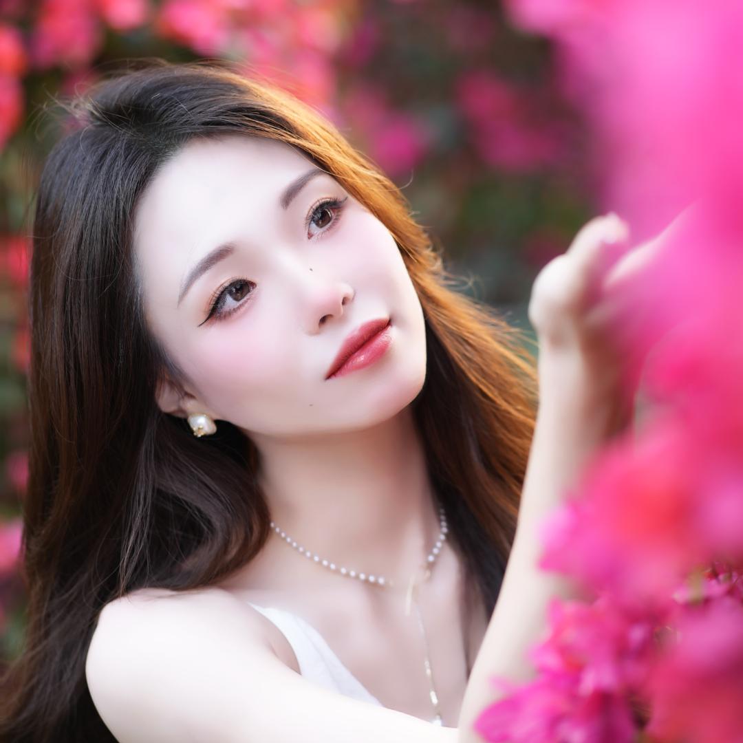 婷婷三角梅