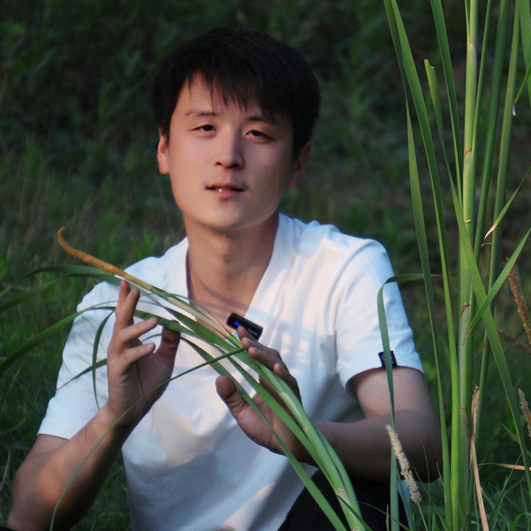 鲁阳采药人