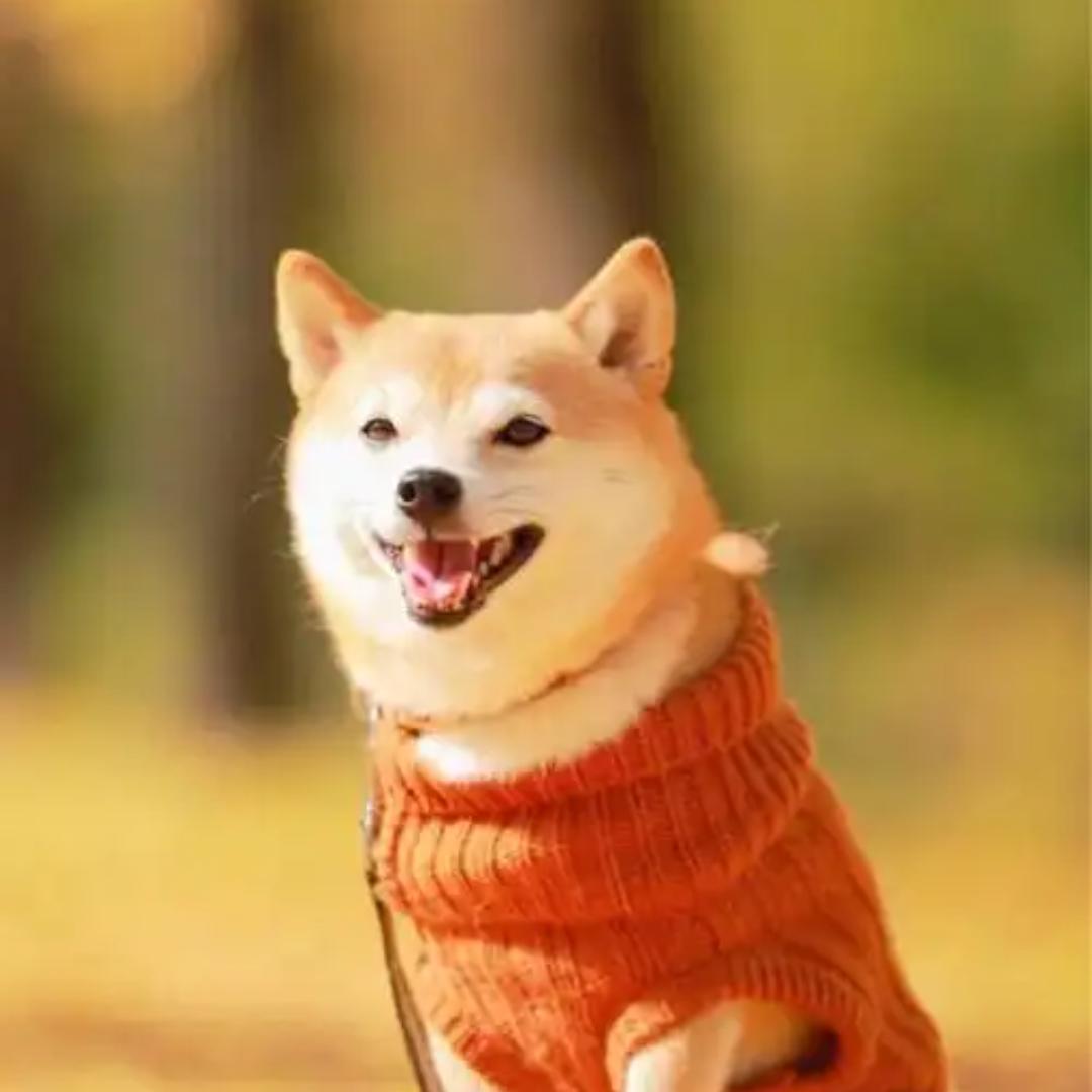 小左万物