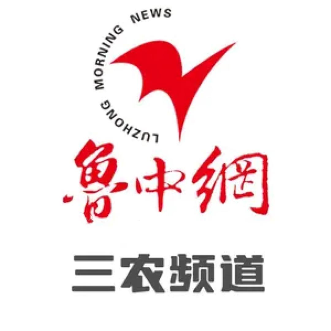 三农频道-鲁中网